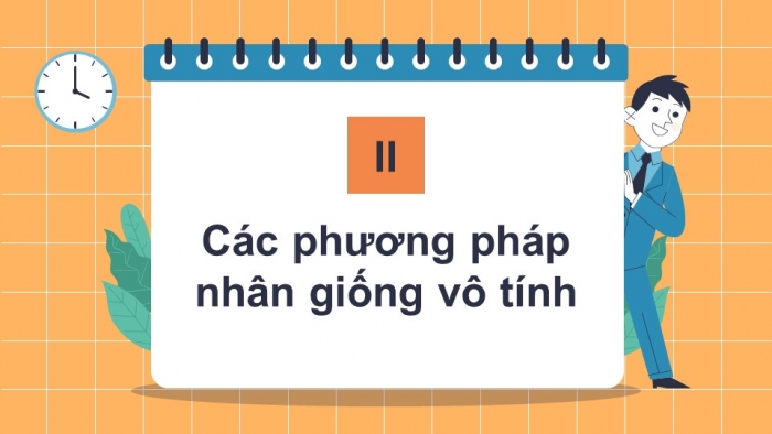 Giáo án PowerPoint bài 5: Nhân giống vô tính cây trồng