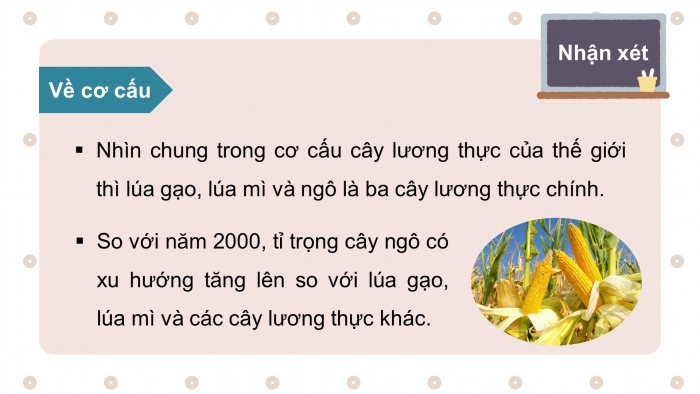 Giáo án điện tử địa lí 10 chân trời bài 27: Tổ chức lãnh thổ nông nghiệp, vấn đề phát triển nông nghiệp...