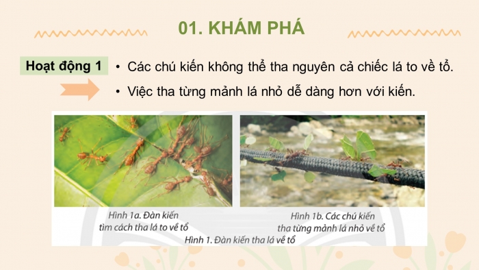 Giáo án điện tử tin học 3 chân trời bài 13: Chia việc lớn thành việc nhỏ để giải quyết