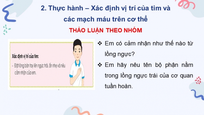 Giáo án điện tử bài 21: Cơ quan tuần hoàn