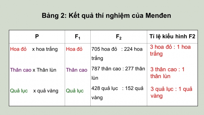 Giáo án điện tử sinh học 9 bài 2: Lai một cặp tính trạng