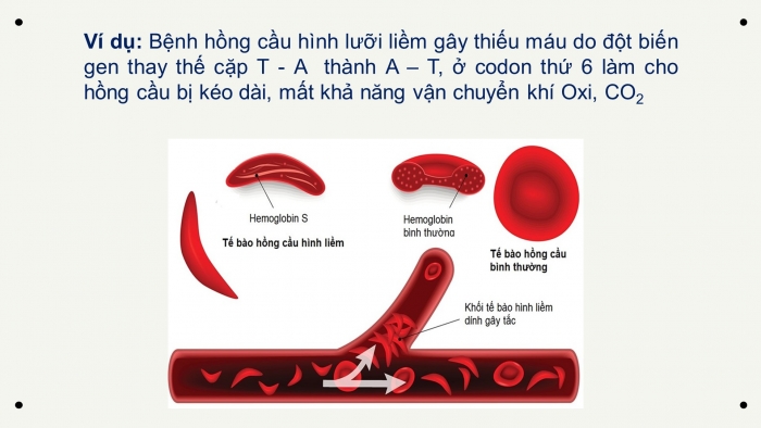 Giáo án điện tử Sinh học 12 bài 4: Đột biến gen