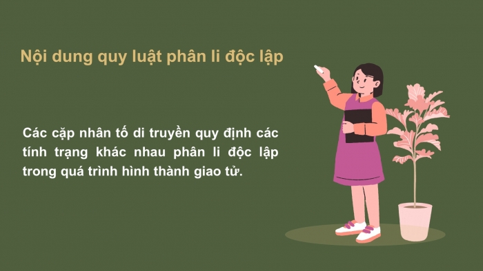 Giáo án điện tử Sinh học 12 bài 9: Quy luật Menđen: Quy luật phân li độc lập