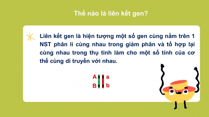 Giáo án điện tử Sinh học 12 bài 11: Liên kết gen và hoán vị gen