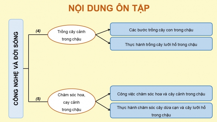 Giáo án điện tử Công nghệ 4 chân trời: Ôn tập Phần 1