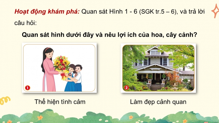 Giáo án điện tử Công nghệ 4 cánh diều Bài 1: Lợi ích của hoa và cây cảnh