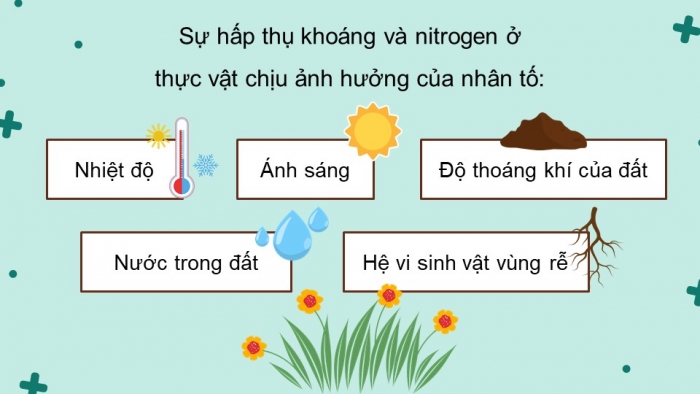 Giáo án điện tử Sinh học 11 cánh diều Bài 3: Các nhân tố ảnh hưởng đến trao đổi nước và khoáng ở thực vật