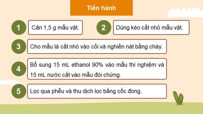 Giáo án điện tử Sinh học 11 cánh diều Bài 4: Quang hợp ở thực vật (P2)