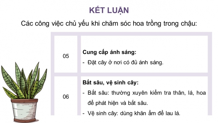 Giáo án điện tử Công nghệ 4 chân trời Bài 5: Chăm sóc hoa, cây cảnh trong chậu