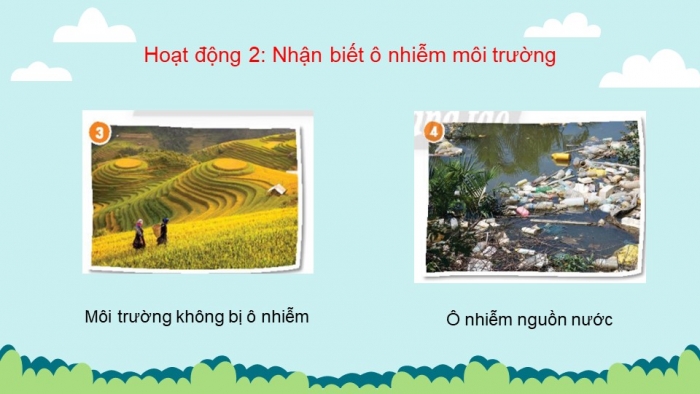 Giáo án điện tử chủ đề 8 tuần 28: Cuộc sống xanh