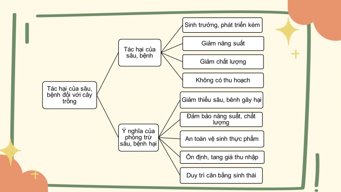 Giáo án điện tử công nghệ trồng trọt 10 cánh diều: Ôn tập chủ đề 5