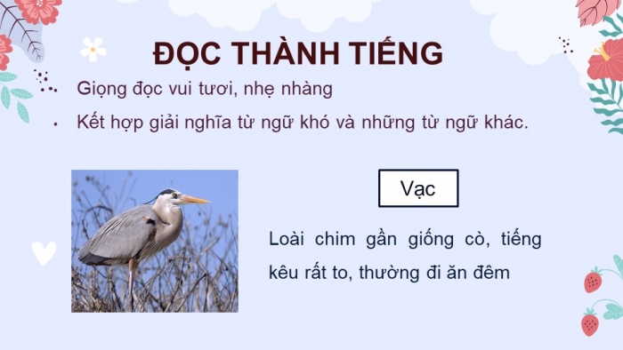 Giáo án điện tử Tiếng Việt 4 cánh diều Bài 7 Đọc 4: Anh đom đóm