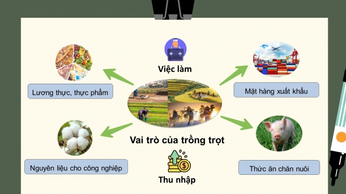 Giáo án điện tử bài 1: Nghề trồng trọt ở Việt Nam