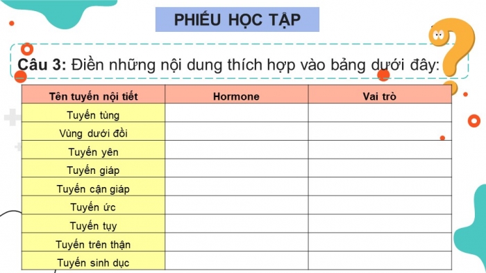 Giáo án điện tử KHTN 8 cánh diều Bài 35: Hệ nội tiết ở người