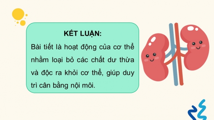 Giáo án điện tử Sinh học 11 chân trời Bài 13: Bài tiết và cân bằng nội môi