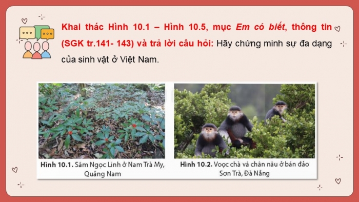 Giáo án điện tử Địa lí 8 kết nối Bài 10: Sinh vật Việt Nam