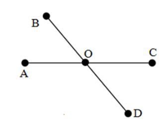 Trắc nghiệm bài 32: Điểm và đường thẳng